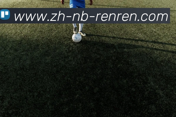 App Interface Preview